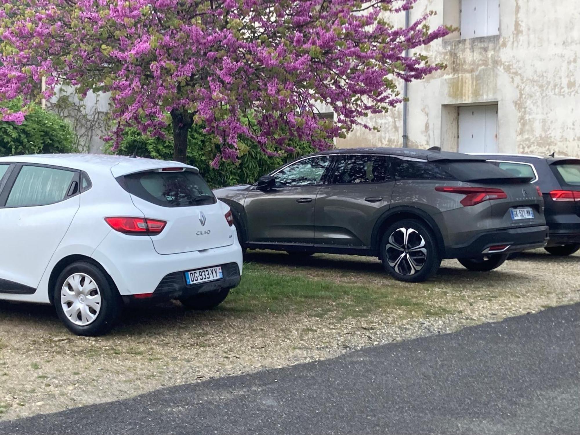 Appartamento Coeur De Charente Maritime, La Charentaise Saint-Germain-de-Marencennes Esterno foto